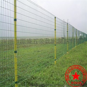 厂家直供 荷兰网养殖 荷兰网围栏网 荷兰网圈地养鸡 品质保证